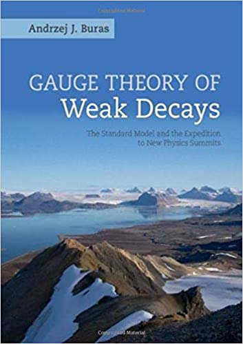 Link do karty katalogowej książki: Gauge theory of weak decays: the standard model and the expedition to new physics summits